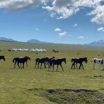 Silk Road horse tour