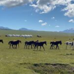 horse trekking holidays Kyrgyzstan