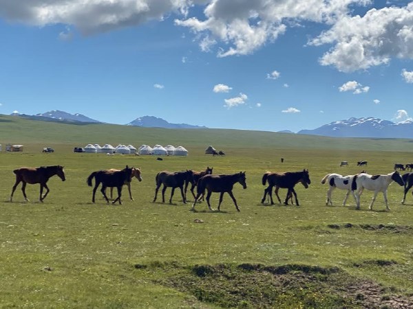 horse trekking holidays Kyrgyzstan
