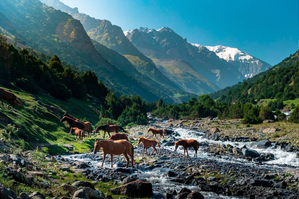 horse trekking Kyrgyzstan