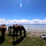 Central Asia horse tours