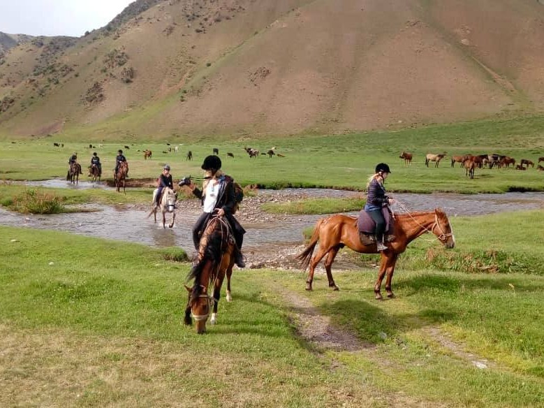 authentic horse trekking experience